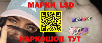 амф Дубна