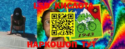 амф Дубна