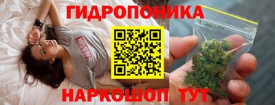 амф Дубна