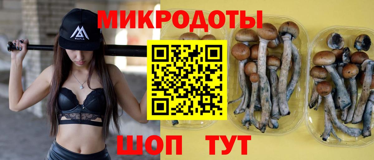 Псилоцибиновые грибы Psilocybine cubensis Старый Оскол